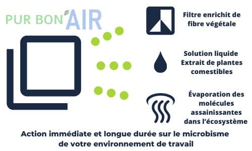comment purifier son air comment purifier son air